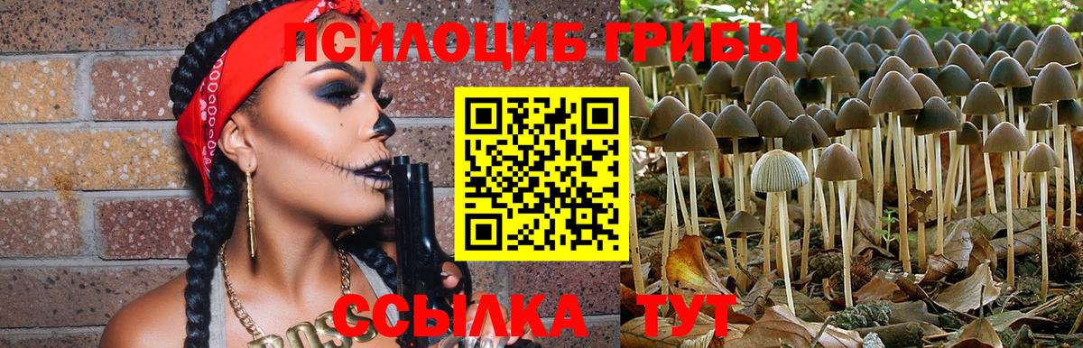 Псилоцибиновые грибы Psilocybine cubensis Симферополь