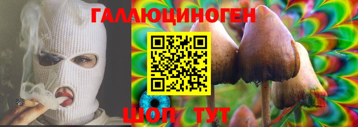 что такое наркотик  Вход с VPN  Симферополь  Псилоцибиновые грибы MAGIC MUSHROOMS 